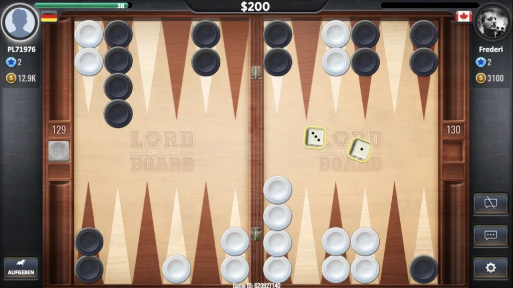 Backgammon Board